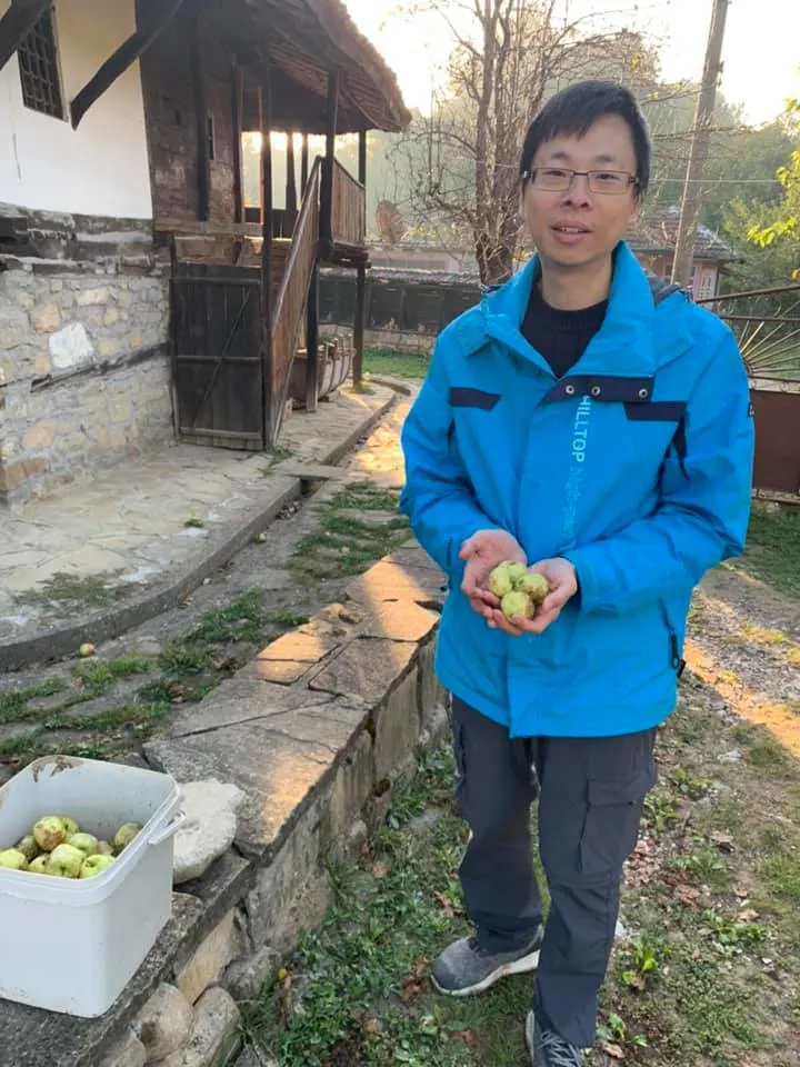 撿蘋果很好玩，可以跑去餵馬~