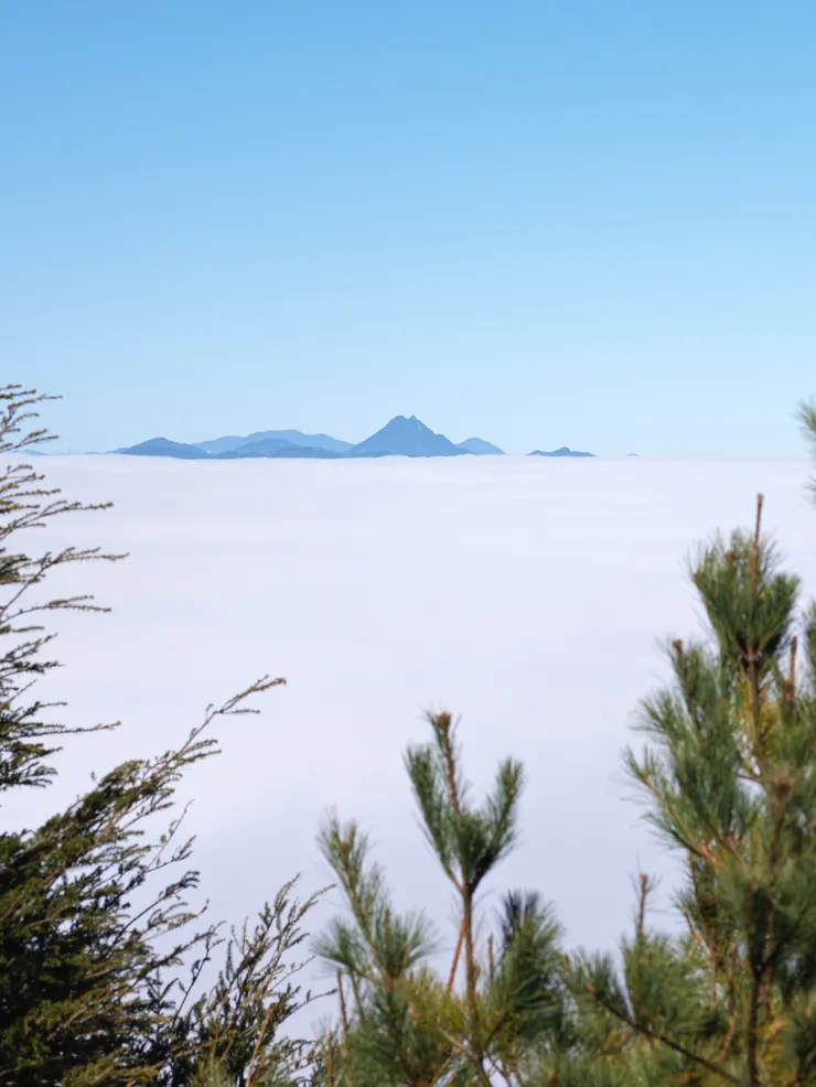 遠眺浮在雲海上的新康山。(Photo by. HASSELBLAD X2D + XCD 55/2,5V)(這張一樣作弊,一億畫素裁切太變態啦~)