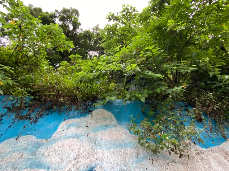 現已被樹叢雜草掩沒的乞靈塔