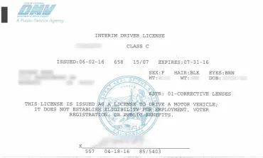 Interim Driver License