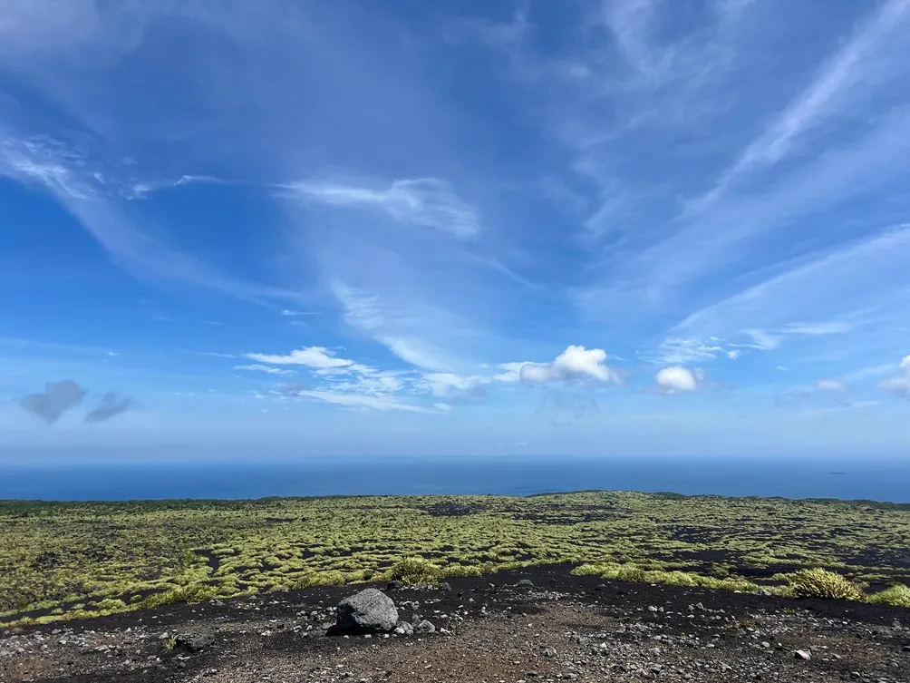 塔塔的微光日記