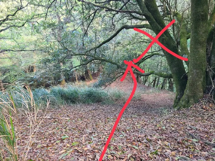 不要直行往寬稜走!!!