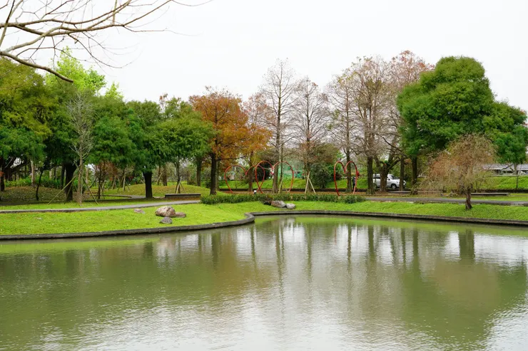 湧泉公園落雨松