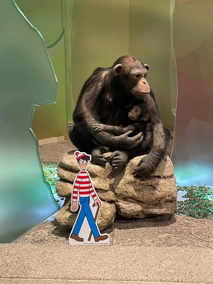 總是漫步隱藏在細節的威利