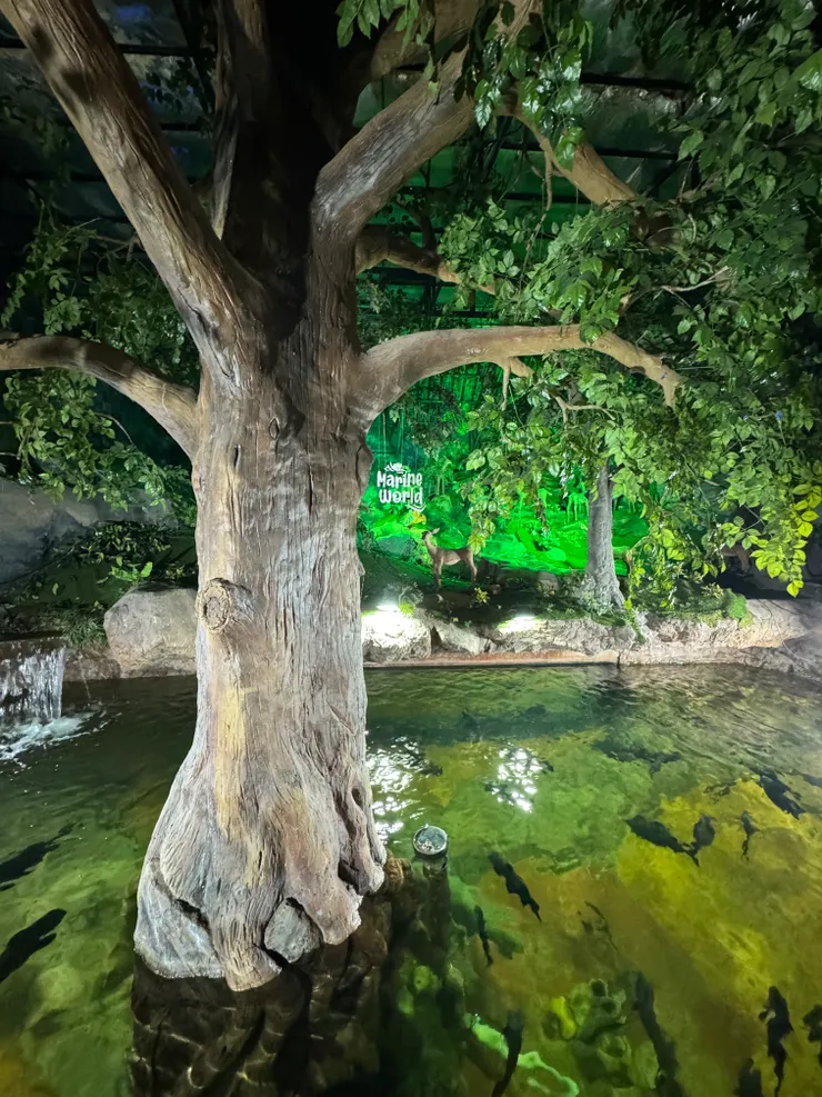 造景仿亞馬遜雨林