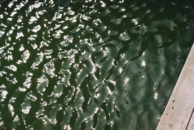 Olympus OM-1 - FUJI Color100