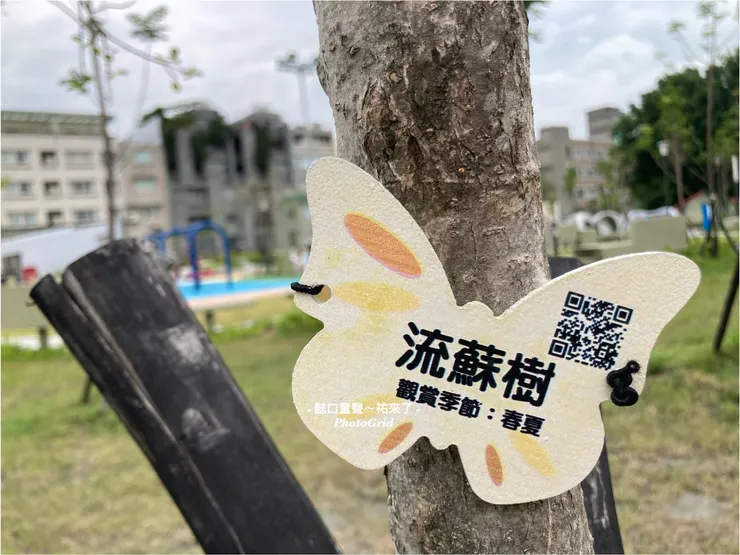 每一棵都有這樣的小細節，讓民眾多認識一分。