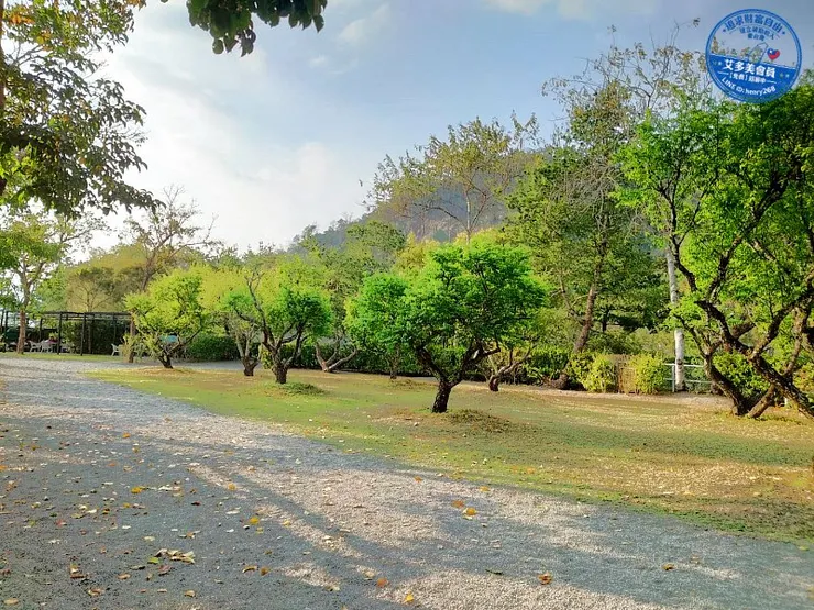 南投國姓新景點｜春水山林