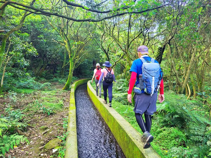 八煙圳(水源引自大尖後山，水路環山而行，約有3.8公里，是陽明山最早最險的水道)