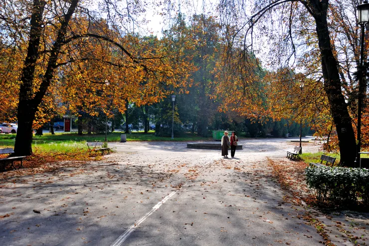 【偌大中央公園此刻像我們獨擁】