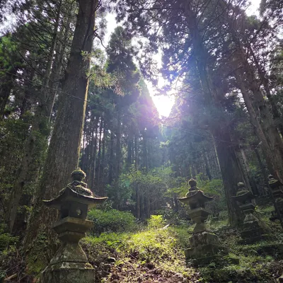 avatar-avatar