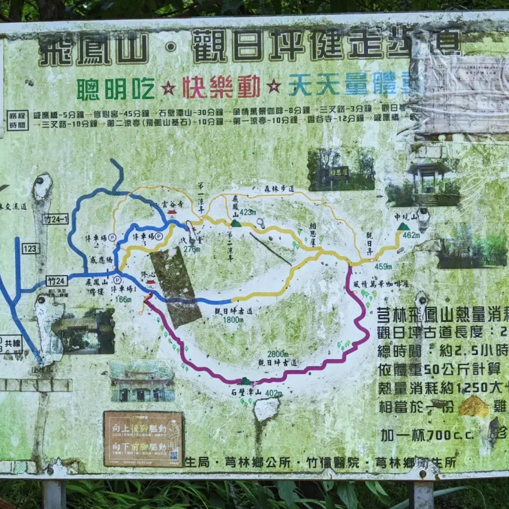 為何要天天量體重啦XD