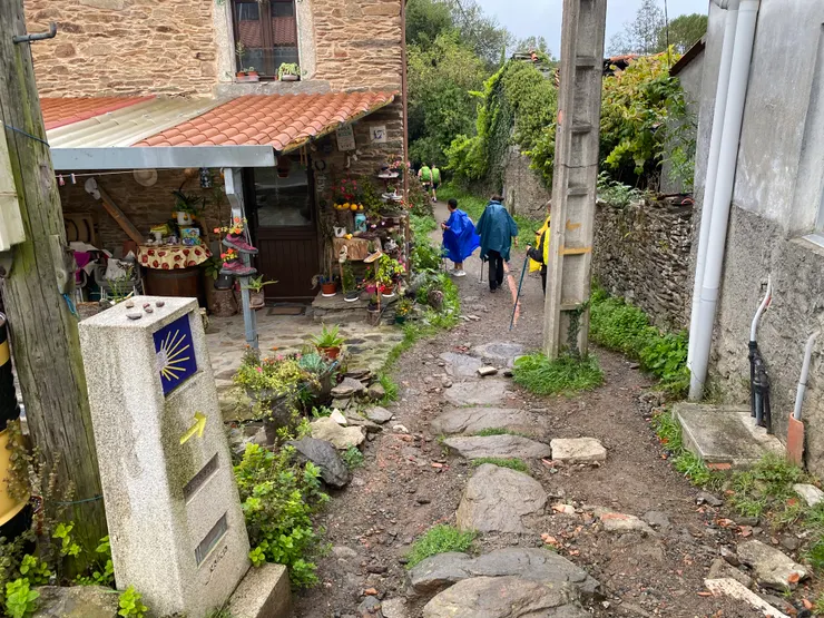 很多登山鞋做成花圃的那一家