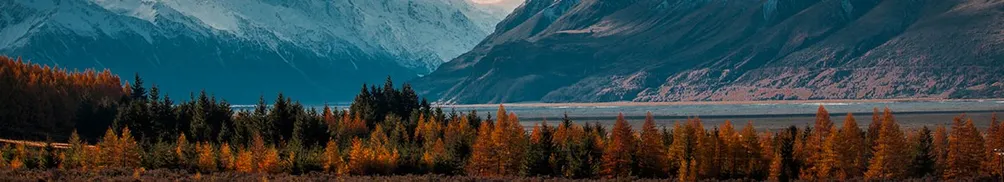 那緹的文字空間