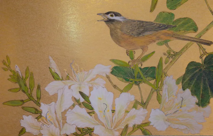 〈鳥啼深處〉局部－白頰噪鶥、艷紫荊