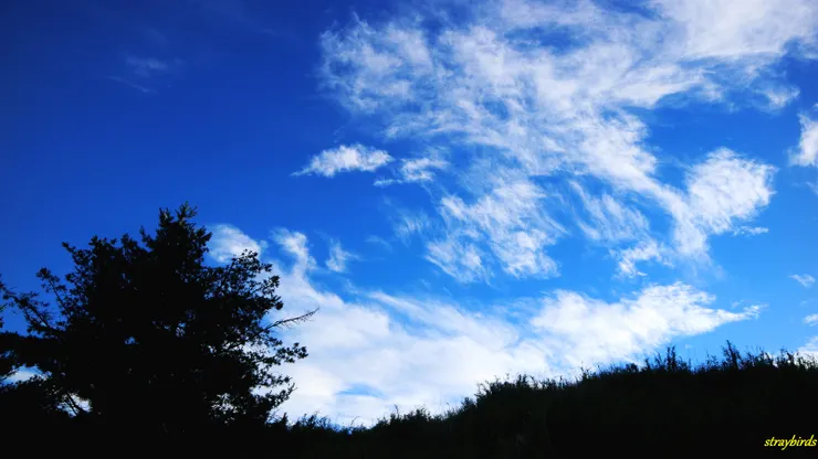 上稜線前可眺望竹東小鎮，隱約可以看到新竹海岸線
