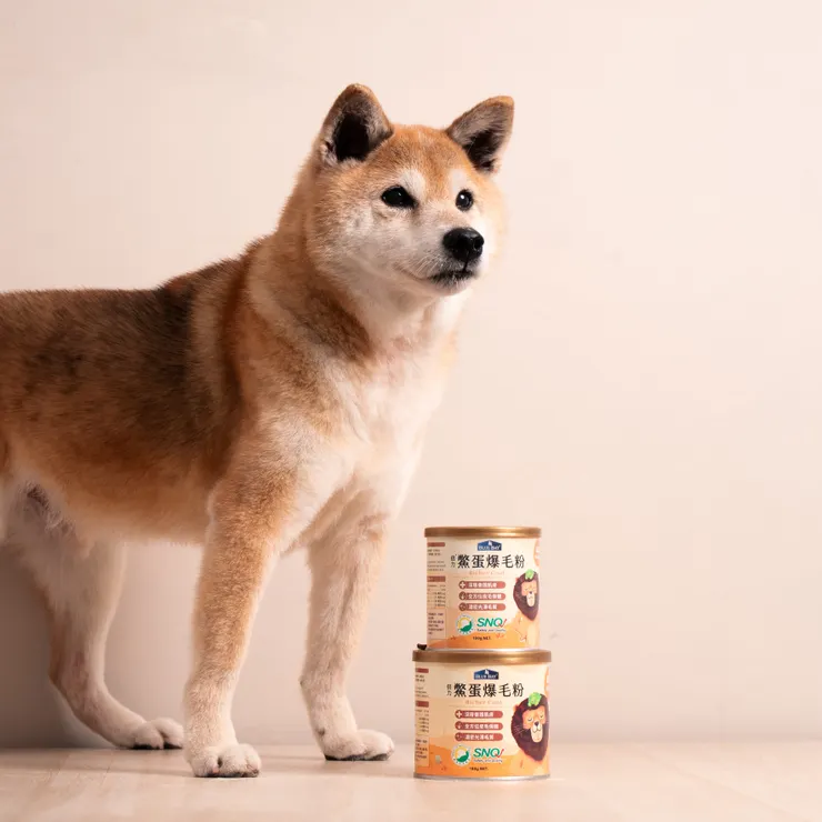 圖說：倍力「鱉蛋爆毛粉」連三年榮獲SNQ國家品質標章肯定，更通過SGS多項檢驗，品質與安全都值得信賴。（資料來源；倍力寵物健康食品）