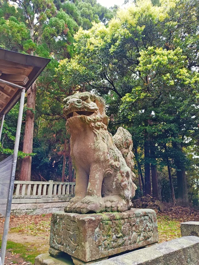 伊根八坂神社 阿形狛犬
