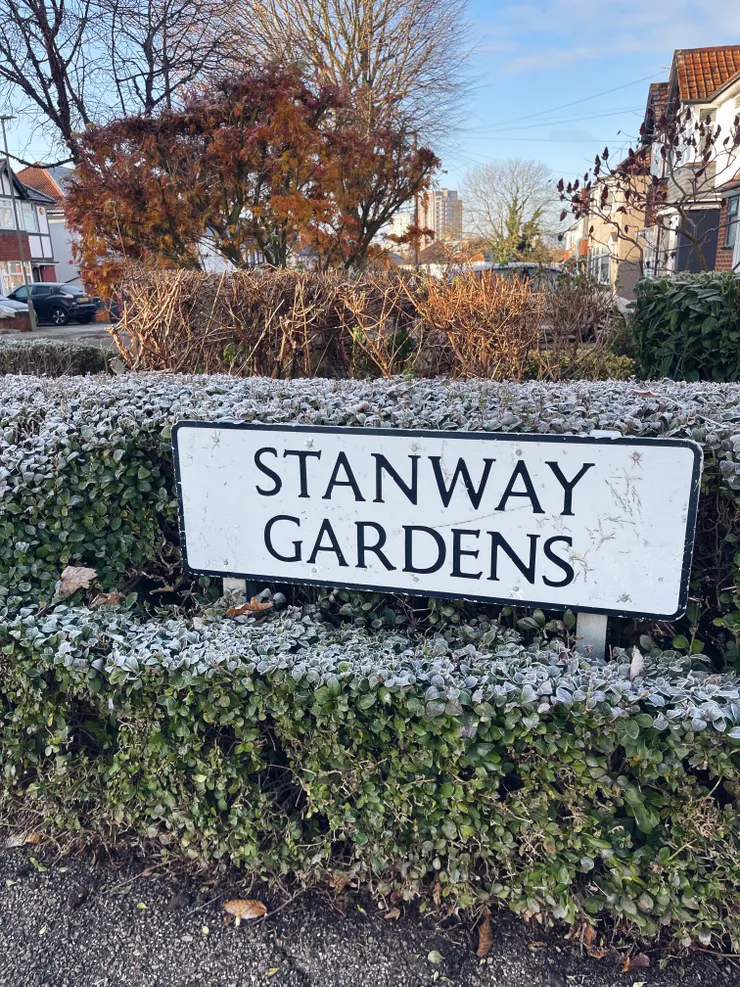 開始結霜的花圃