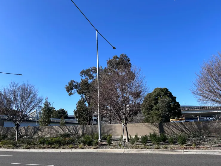 墨爾本機場外圍，我看見冬天的顏色