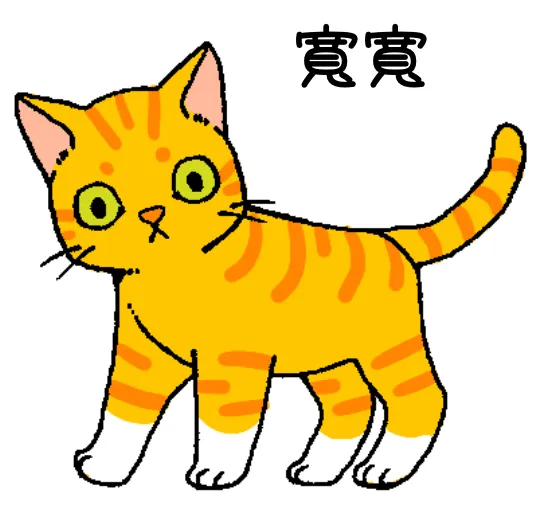 Chonk (寬寬)