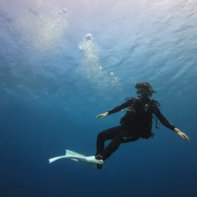 雲淡風輕的沙龍