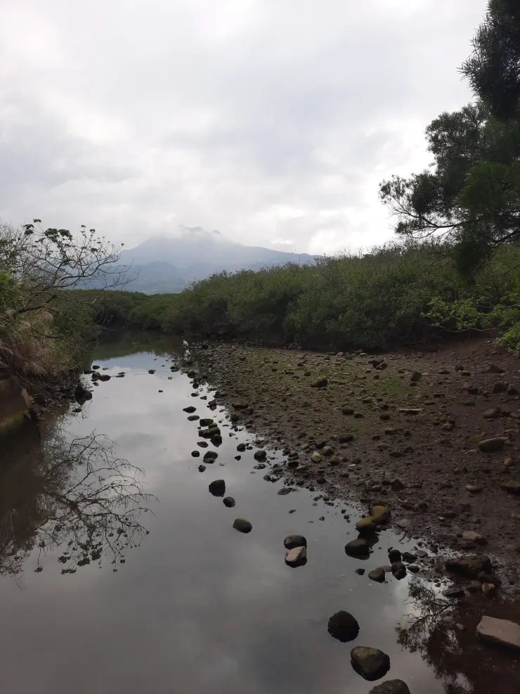 淡水河堤岸往淡水捷運站的其中角落