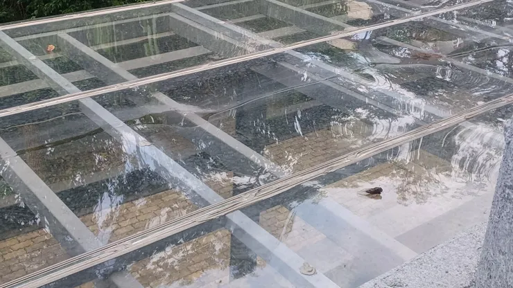 窗外的蟬靜靜的停留不動