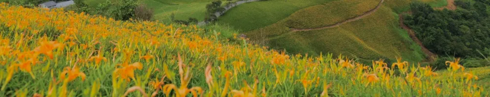 日常蒸餾所Daily Distillery