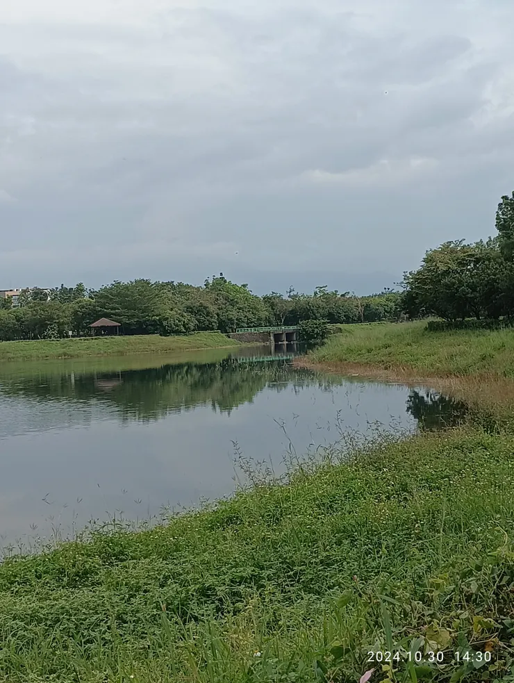 縠紋粼粼光細細