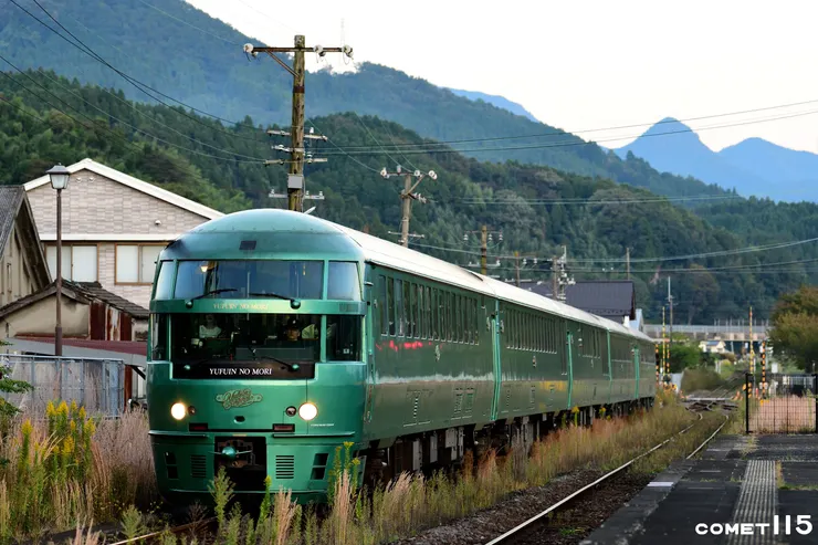 結合歐式風格與自然色調的由布院之森是D&S列車中相當經典的列車
