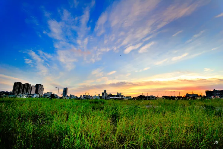 我懷念不被遮蔽的雲天視屏