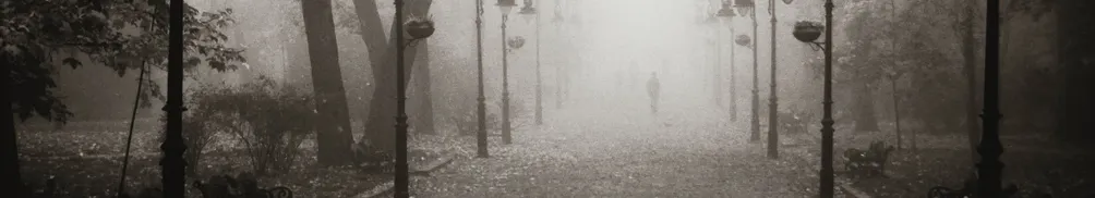 鋼骨佛心的沙龍