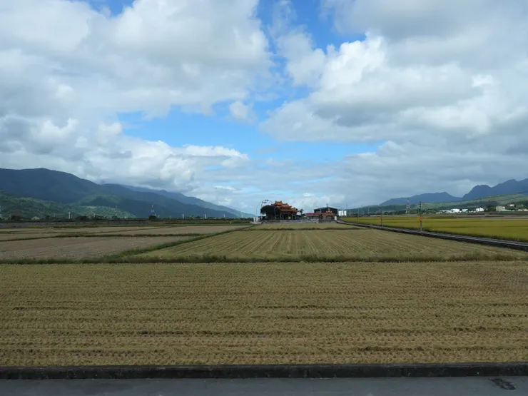 花東 縱谷 田園風光