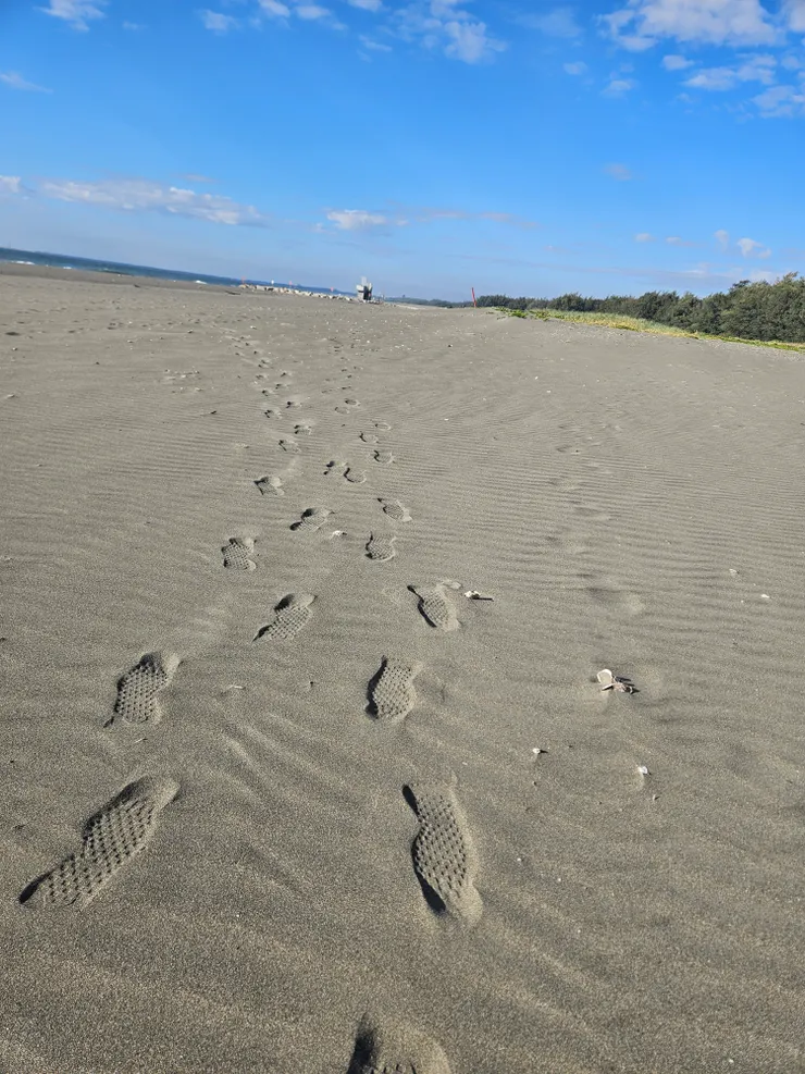 一步一步讓風拂過我的臉龐