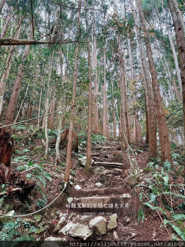 【谷關健行/住宿】谷關七雄老大。海拔2366公尺八仙山主峰。