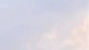 亦心 | 漫獨之森