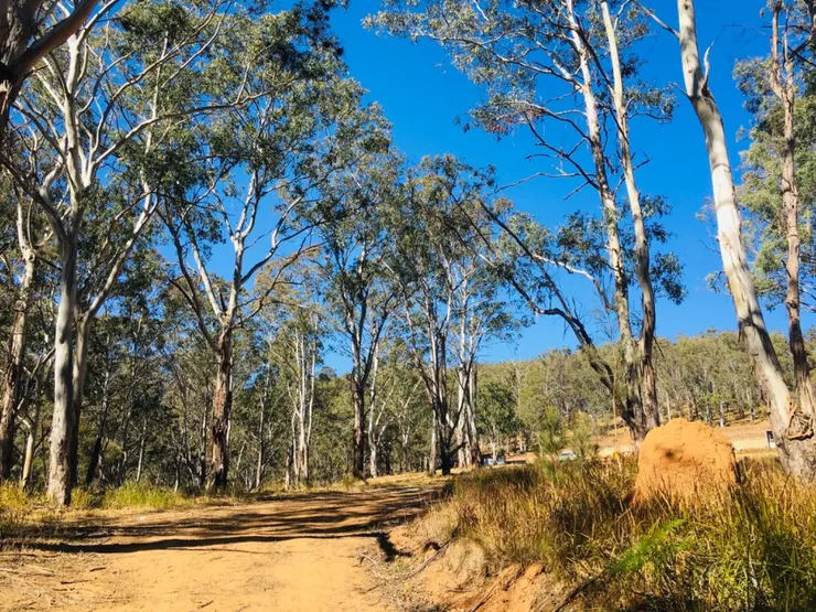 到達山頂 右邊有座小黃山👉