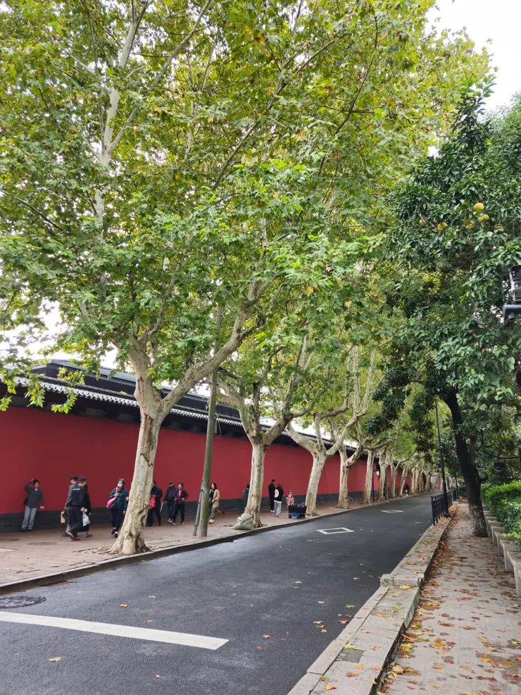 路上的紅色圍牆