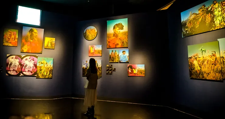 vocus|新世代的創作平台