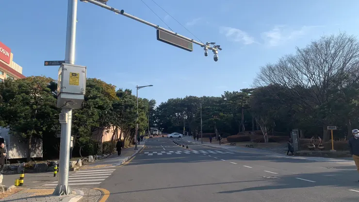 很不像要往一個島去。