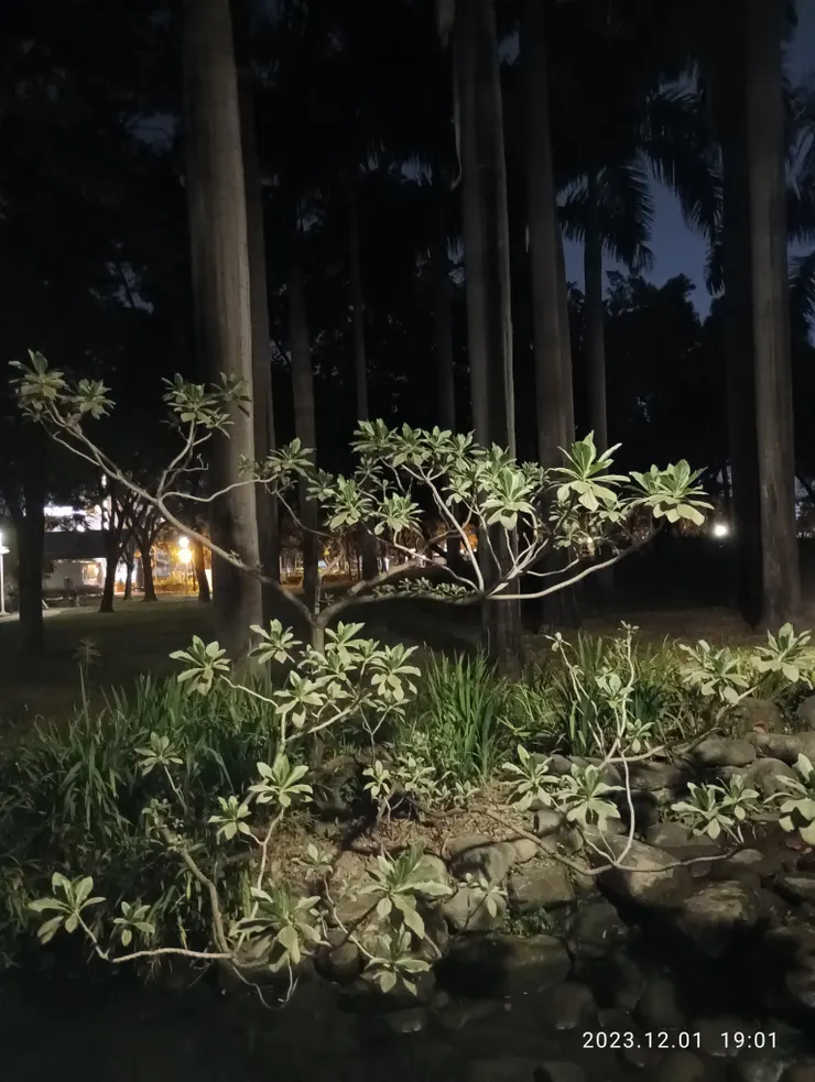 踏尋憶訪攜手情，照片均自拍