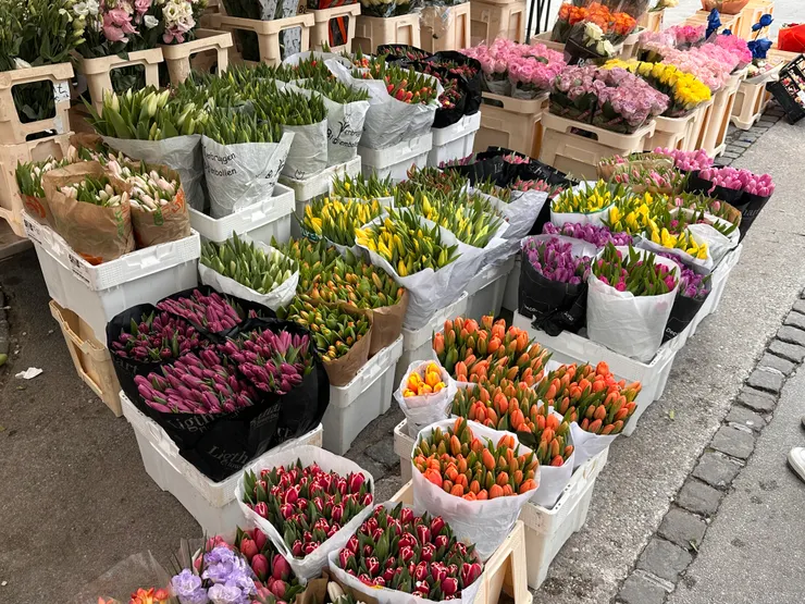 市集的花攤。春天真的來了！