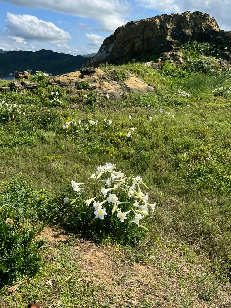 不遠處是河馬岩