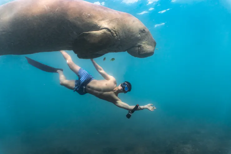 跟儒艮一起游泳