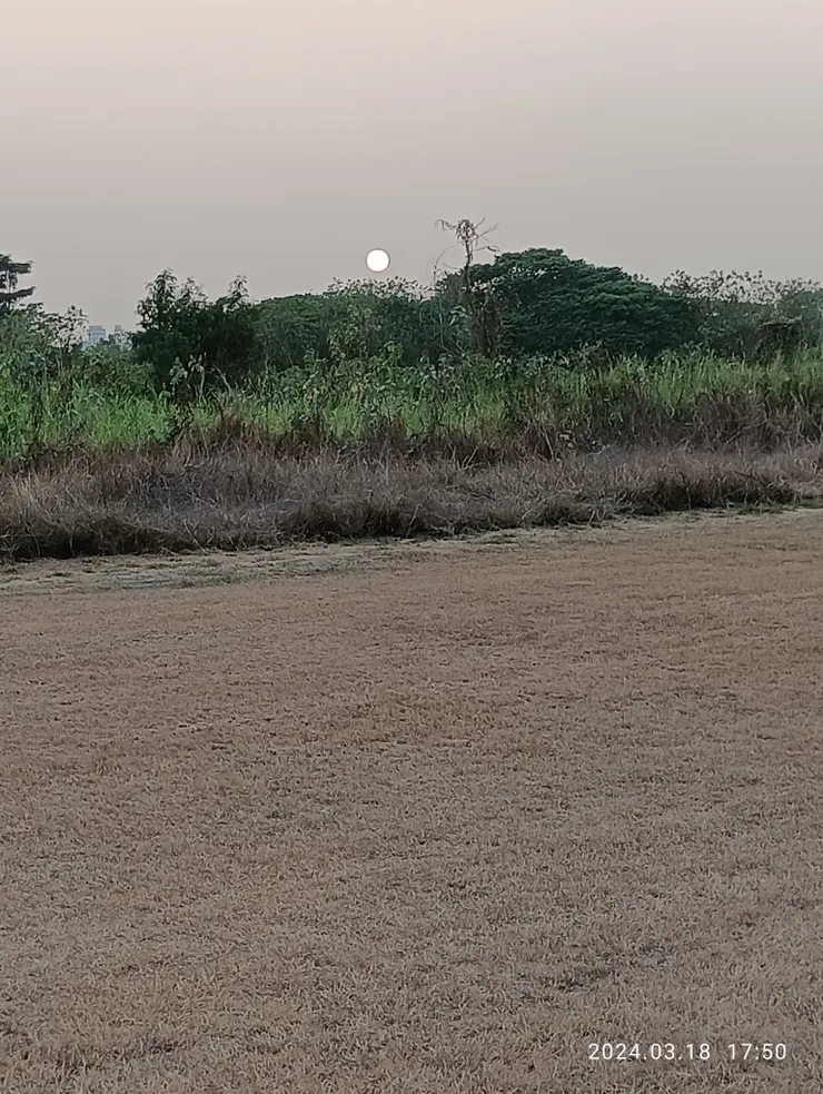 河濱衰草遍，自拍