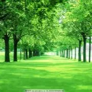 丹兔馬的療育森林的沙龍