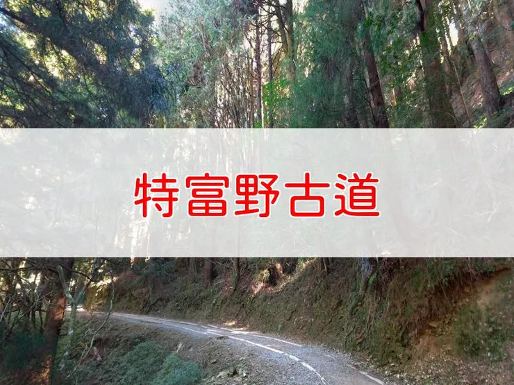 【嘉義】特富野古道 | 全長里程：6.32公里 | 難易度：低至中