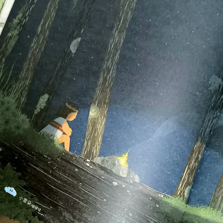 乾苔蘚不僅可以保暖，還是很好的火種