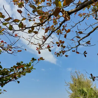 公部門小怪獸的沙龍